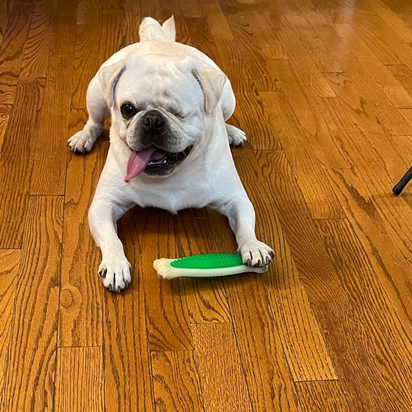 Meet your Posher, Marina - Picture 4 of 4